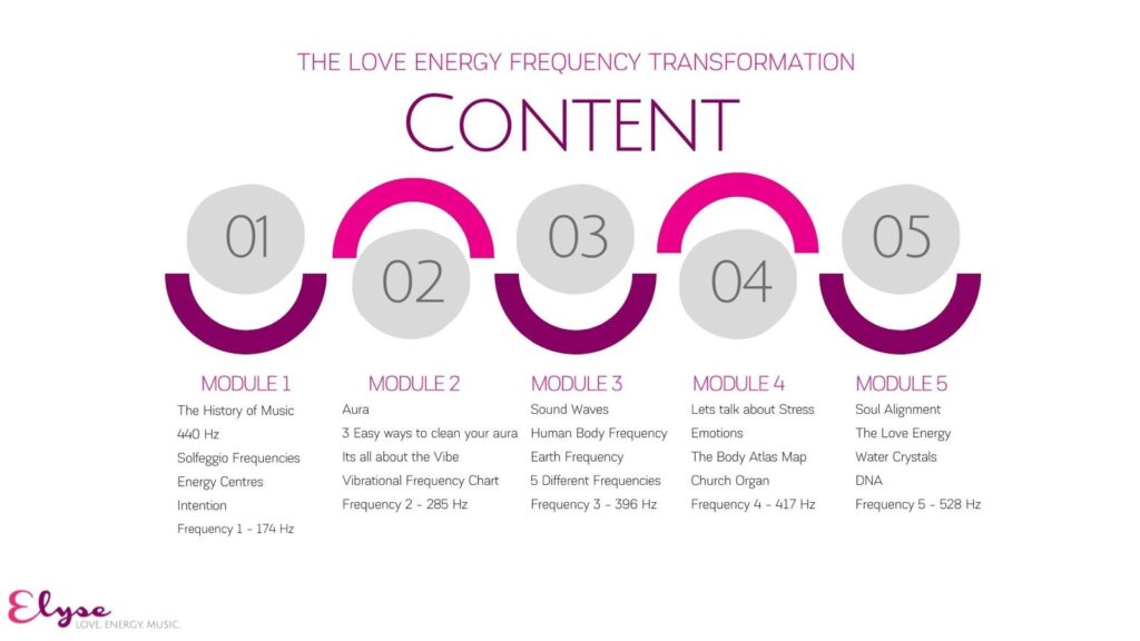 Modules 1 to 5 the Love Energy Frequency Program